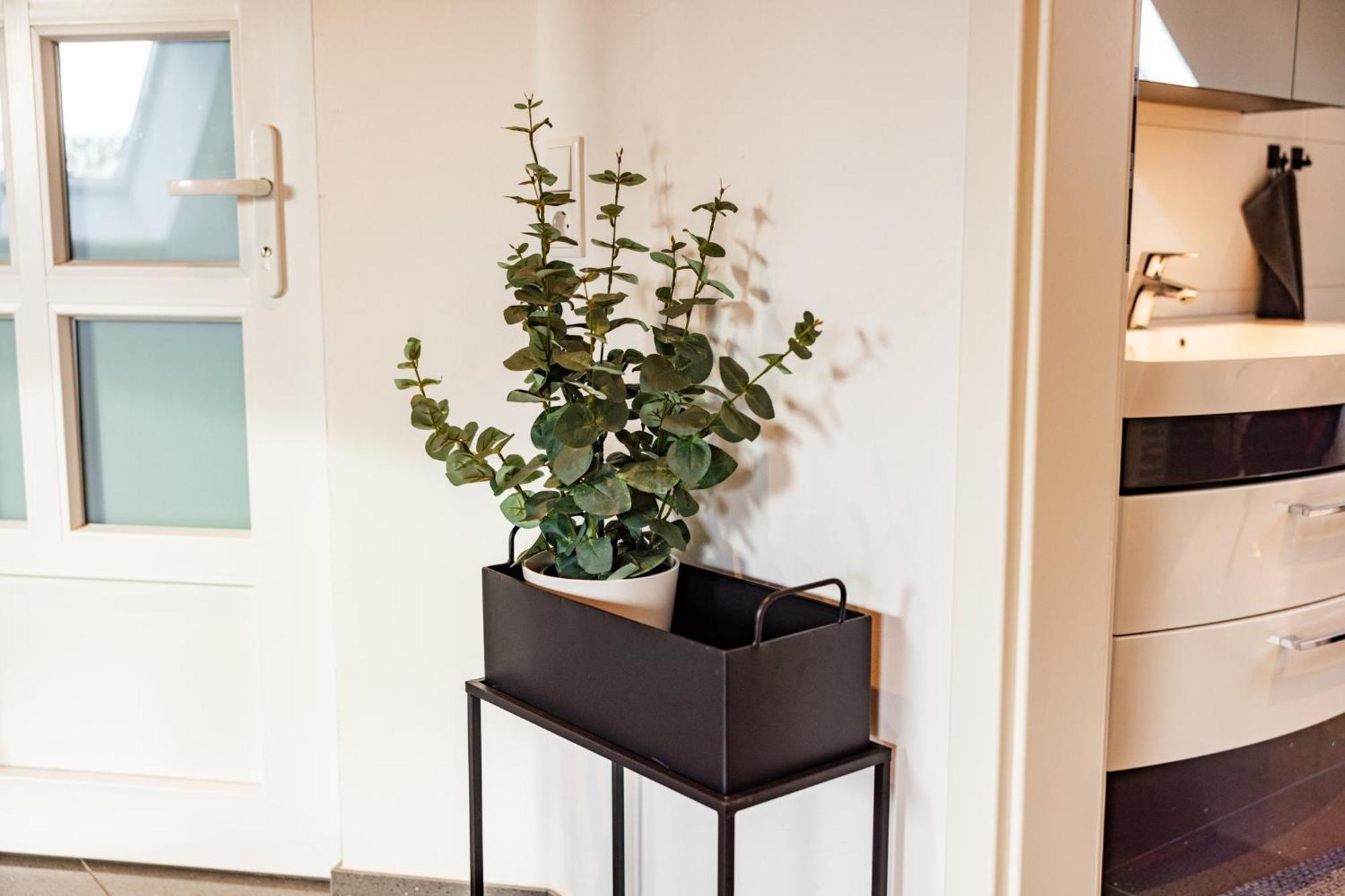 Exklusive Apartments In Kieler City Bagian luar foto